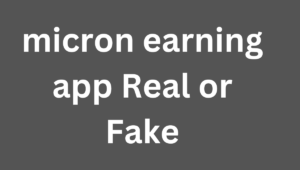 micron earning app Real or Fake